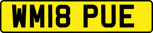 WM18PUE