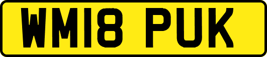 WM18PUK