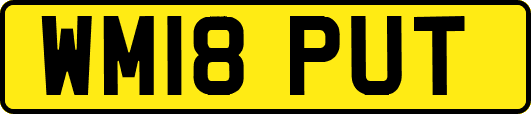 WM18PUT