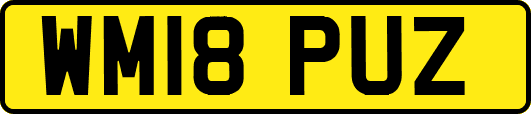 WM18PUZ