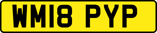WM18PYP
