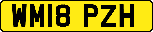 WM18PZH
