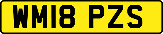 WM18PZS