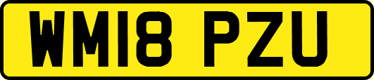 WM18PZU
