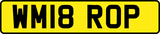 WM18ROP