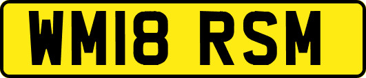 WM18RSM