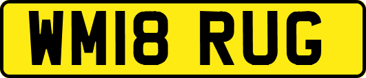 WM18RUG