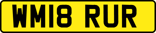 WM18RUR