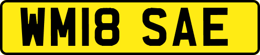 WM18SAE