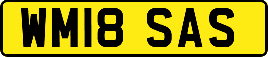 WM18SAS