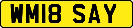 WM18SAY