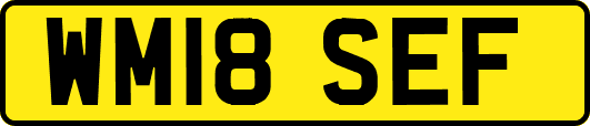 WM18SEF