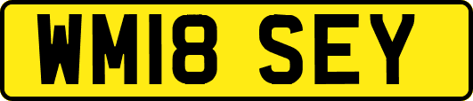 WM18SEY