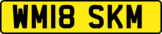 WM18SKM