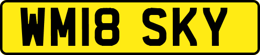 WM18SKY