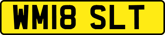 WM18SLT