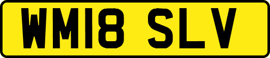 WM18SLV