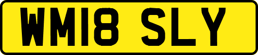 WM18SLY