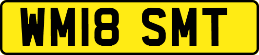 WM18SMT