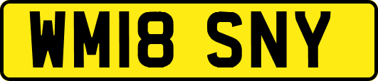 WM18SNY