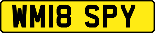 WM18SPY