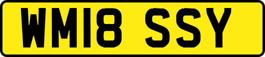 WM18SSY