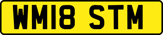 WM18STM