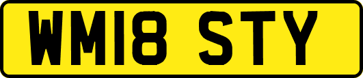 WM18STY