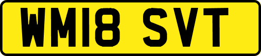 WM18SVT
