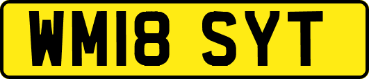 WM18SYT