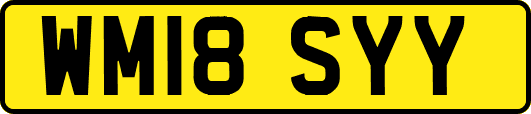 WM18SYY