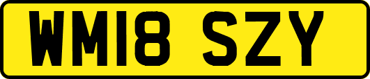 WM18SZY