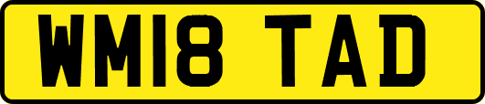 WM18TAD