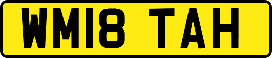 WM18TAH