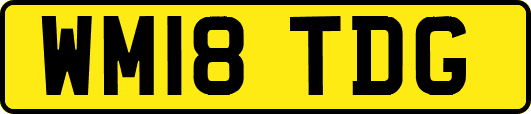 WM18TDG