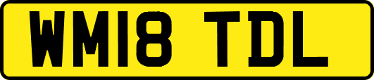 WM18TDL