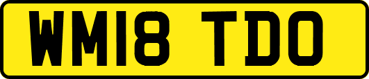 WM18TDO