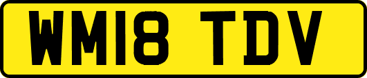 WM18TDV