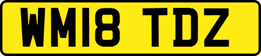 WM18TDZ