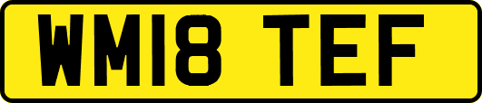 WM18TEF