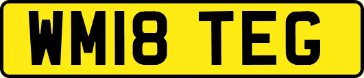 WM18TEG