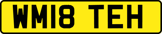 WM18TEH