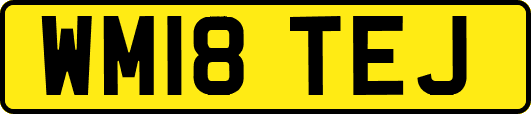 WM18TEJ