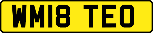 WM18TEO