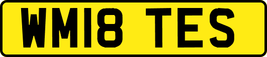 WM18TES