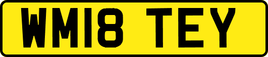 WM18TEY