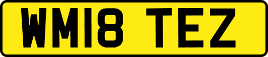WM18TEZ
