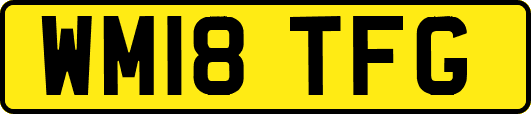 WM18TFG