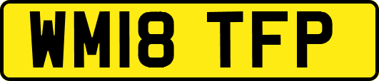 WM18TFP