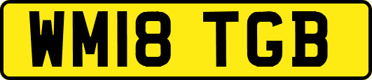 WM18TGB